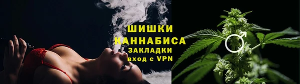 молекула духа Дмитриев