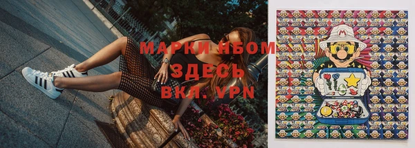 гидропоника Пересвет