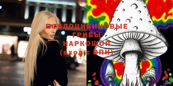 молекула духа Дмитриев