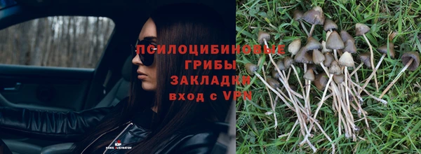молекула духа Дмитриев